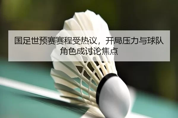国足世预赛赛程受热议，开局压力与球队角色成讨论焦点